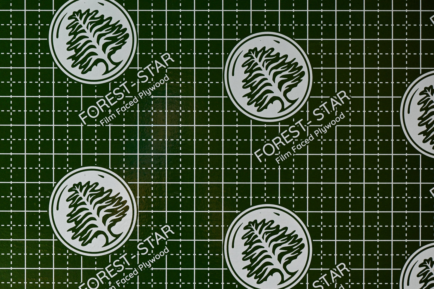 CIMBRA FILM FOREST STAR