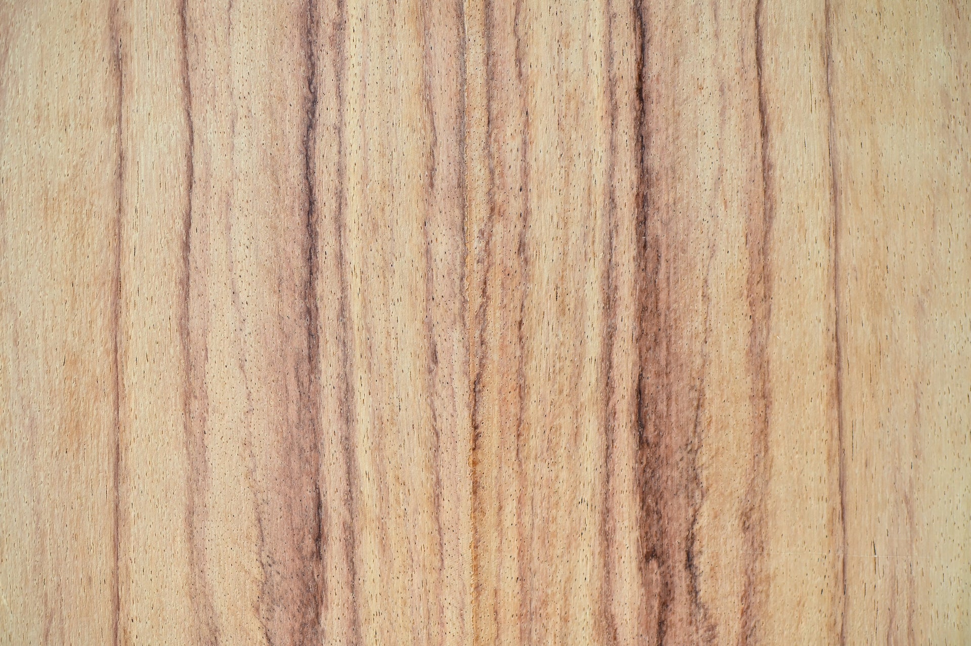 TRIPLAY ENCHAPADO DE PAROTA