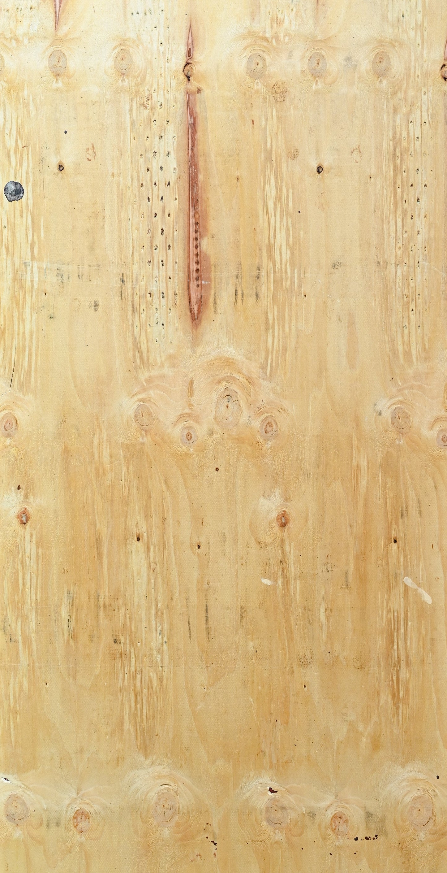 TRIPLAY NACIONAL PINO PONDEROSA BC