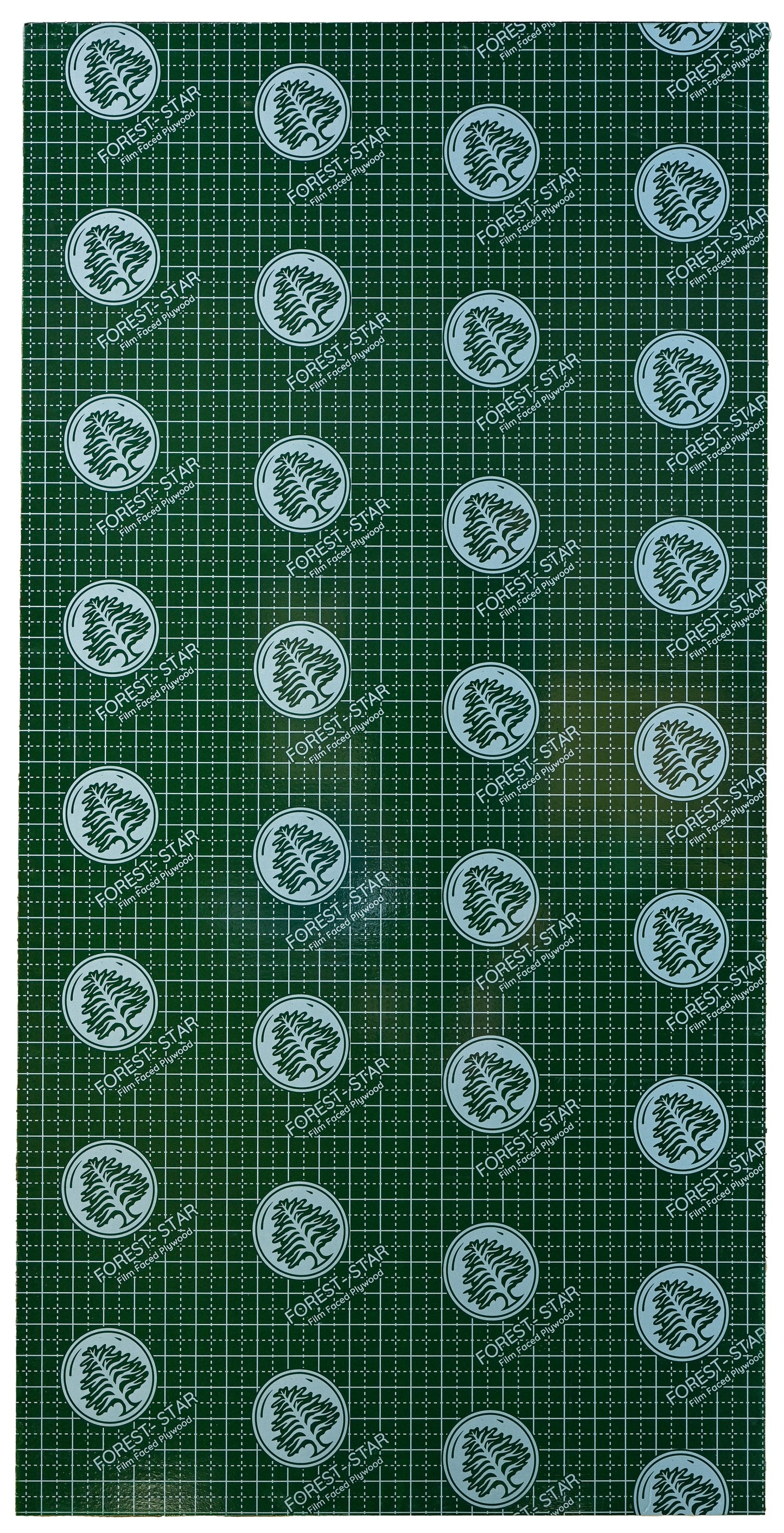 CIMBRA FILM FOREST STAR