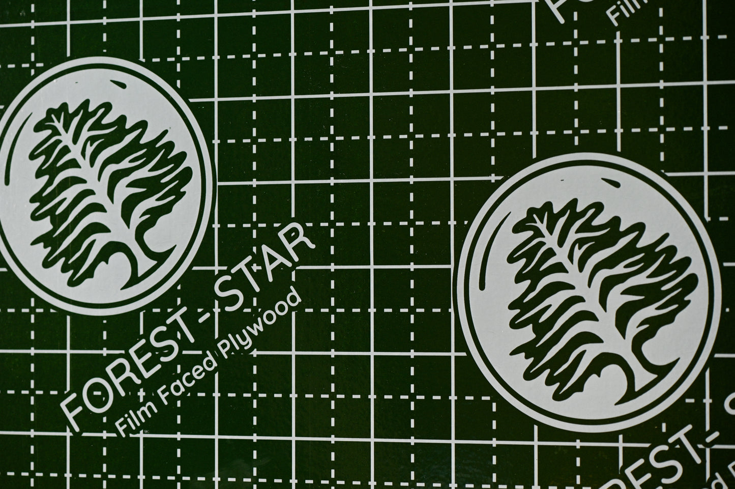 CIMBRA FILM FOREST STAR