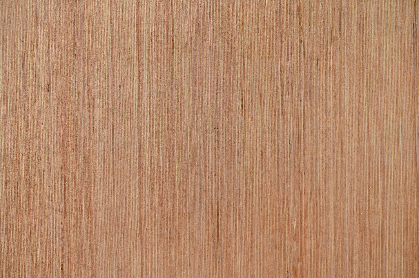 CAOBILLA RAYADA ROJO