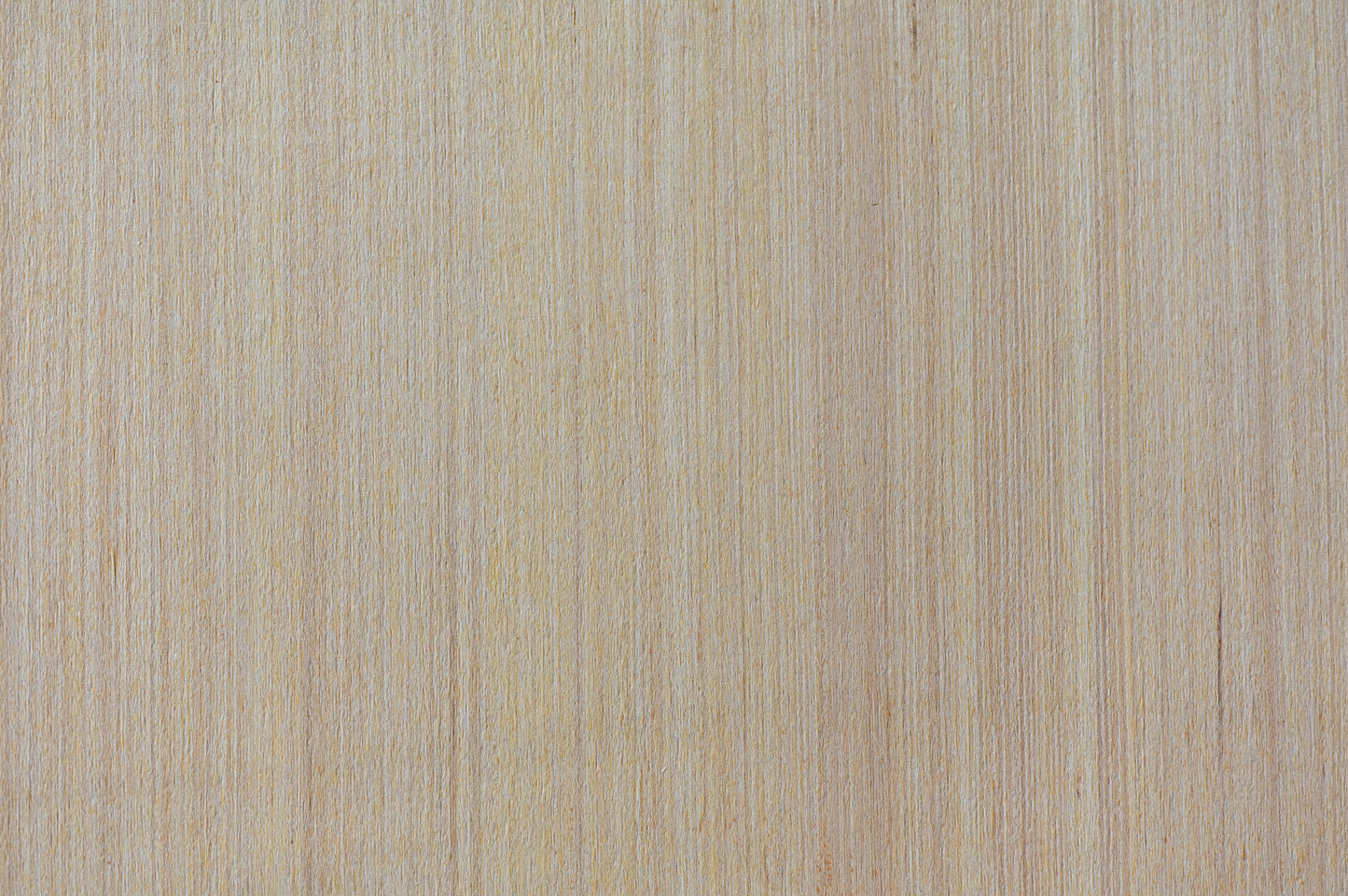 CAOBILLA RAYADA BLANCO