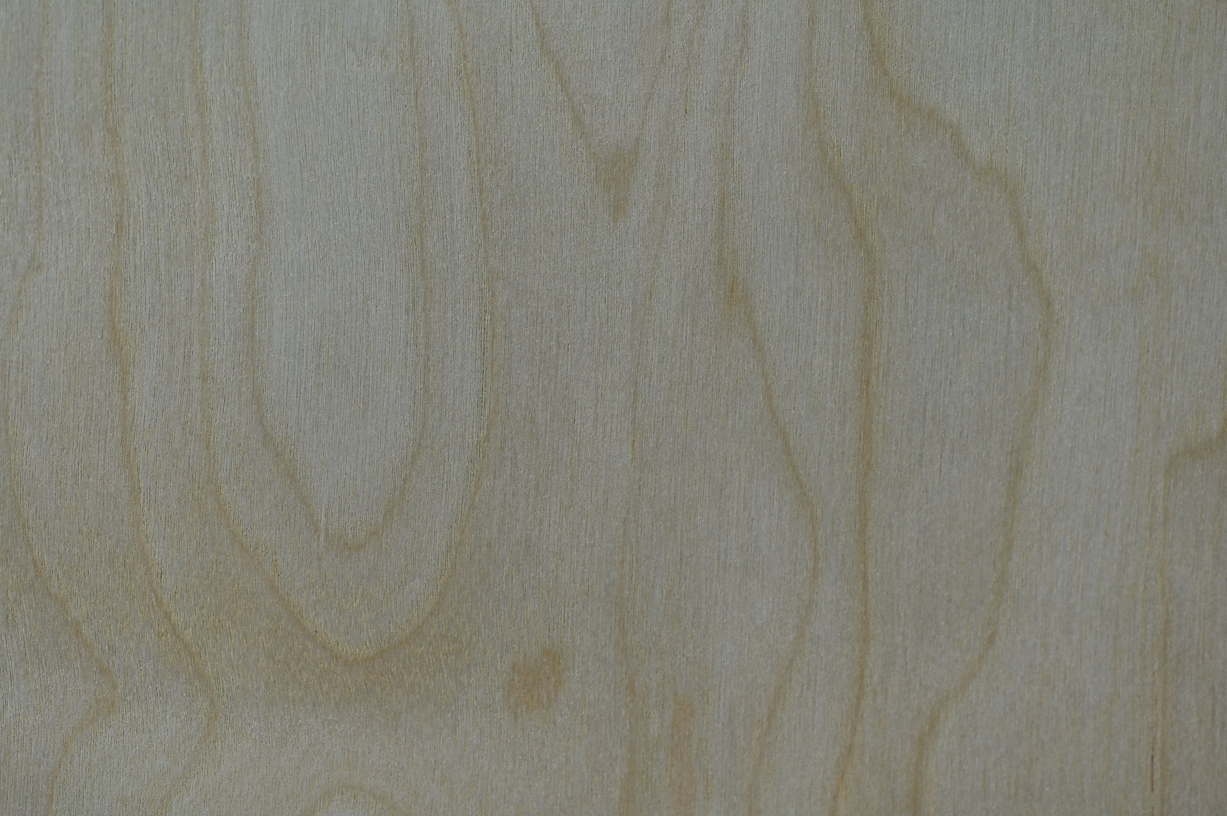 MDF MAPLE 1 CARA